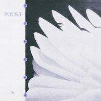 Zimbra - Pouso