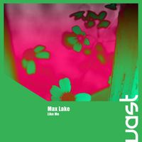 Max Lake - Like Me