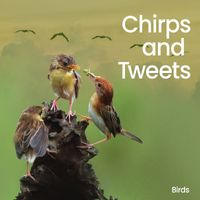 Birds - Chirps and Tweets