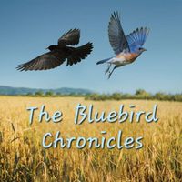 Dennis Casey - The Bluebird Chronicles