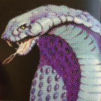 FAWA - Rap Ting (Explicit)