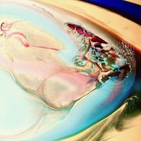 Bengalfuel - Fountain