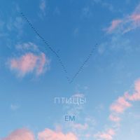 Em - Птицы