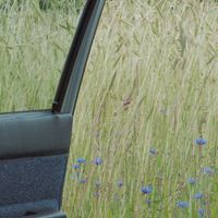 Anna Ternheim - Nära dig