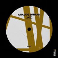 Analog Human - Lairf (Club Mixes)