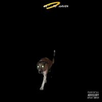 Cameron - All Dogs Go To Heaven (Explicit)