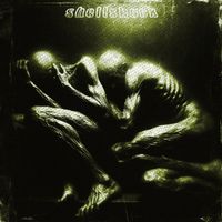 Shellshock - Soundscapes Protocol