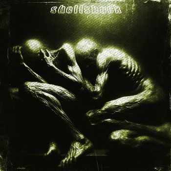 Shellshock - Soundscapes Protocol