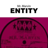 Mr. Marvin - Entity