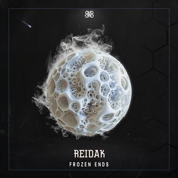 Reidak - Frozen Ends