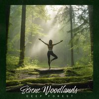 Deep Forest - Serene Woodlands