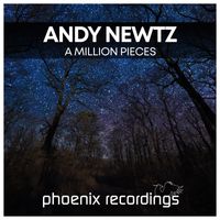 Andy Newtz - A Million Pieces