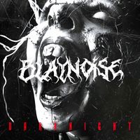 Blaynoise - Darknight (Explicit)