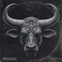 Reza Golroo - Bizarre Dimension