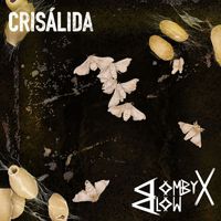 Bombyx Blow - Crisalida