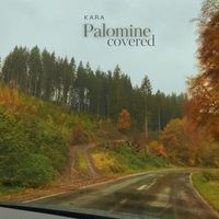 Kara - Palomine Covered