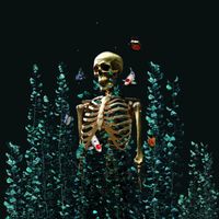 BASS - wasting away (Explicit)
