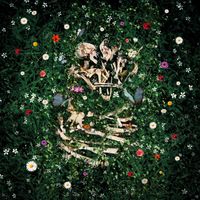 BASS - two bodies