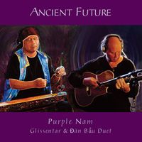 Ancient Future - Purple Nam (Glissentar & Đàn Bầu Duet)