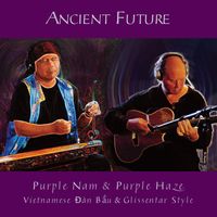 Ancient Future - Purple Nam & Purple Haze (Vietnamese Đàn Bầu & Glissentar Style)