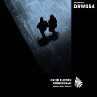 Dried Flower - Printergram (Seumas Norv Remix)