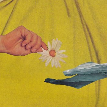 WILD - Yellow