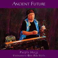 Ancient Future - Purple Haze (Vietnamese Đàn Bầu Style)