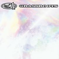 311 - Grassroots (30th Anniversary Edition [Explicit])