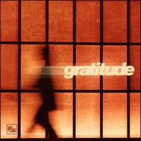Gratitude - Misunderstood