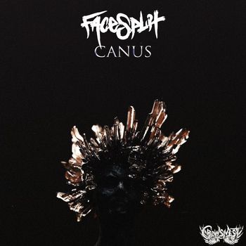 Facesplit - Canus