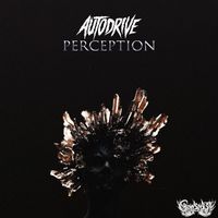 Autodrive - Perception