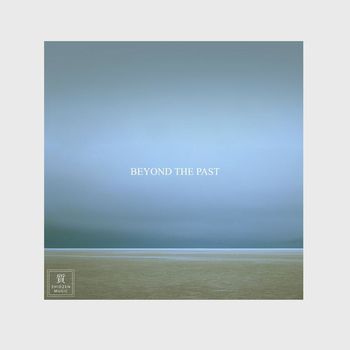 Dstrcv - Beyond The Past