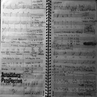 ricardo - Autodidata Perspective