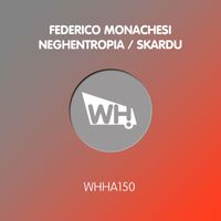 Federico Monachesi - Neghentropia / Skardu
