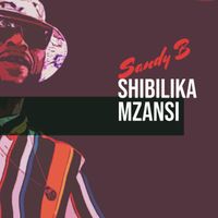 Sandy B - Shibilika Mzansi (Live)