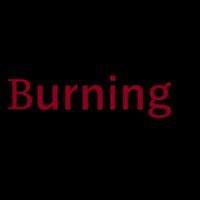 Burning - My homeland