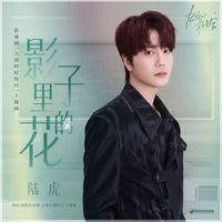 陸虎 - 影子裡的花 (影視劇《九部的檢察官》主題曲)