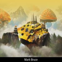 mark bruce - Unwavering Determination