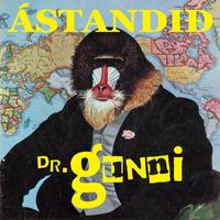 Dr. Gunni - Ástandið