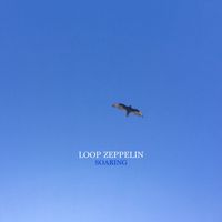 Loop Zeppelin - Soaring