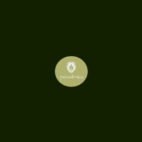 Simplex Sensus - Synthetic Media
