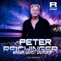 Peter Reichinger - Warum gehst du fort
