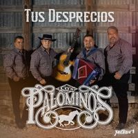 Los Palominos - Tus Desprecios