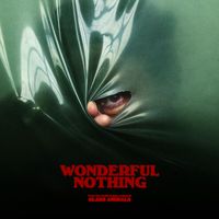 Glass Animals - Wonderful Nothing (Edit)