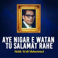 Habib Wali Muhammad - Aye Nigar E Watan Tu Salamat Rahe