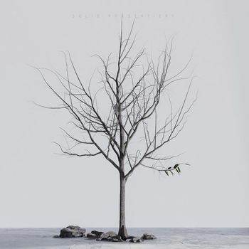 SOLID (feat. Looney Bright) - Angst
