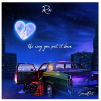 ROI - THE WAY YOU PUT IT DOWN