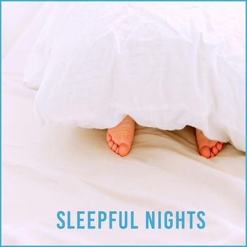 Awne - Sleepful Nights