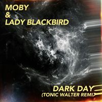 Moby & Lady Blackbird - dark days (Tonic Walter Remix)