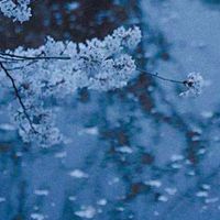 emptiness - seasons (bird sounds)
